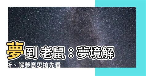 夢到老鼠|夢到老鼠的隱藏意義與數字解析：你的夢境在暗示什麼運勢？